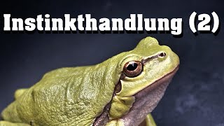 Instinkthandlung 2  Doppelte Quantifizierung [upl. by Hasan282]