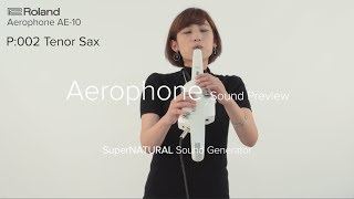 Roland Aerophone AE10 Sound Preview [upl. by Remington]