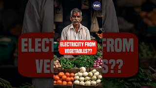 How is Electricity made from Vegetables By VMC [upl. by Eidok]