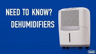 Need to Know  Dehumidifiers [upl. by Corissa53]