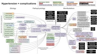 Hypertension and complications mechanism of disease [upl. by Retsae]