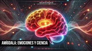 Cómo la Amígdala Impacta Tus Emociones La Ciencia Detrás de Cada Reacción [upl. by Elohcan]