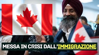 Il Canada non vuole più immigrati  Giravolta a quotUquot del governo [upl. by Riorsson]