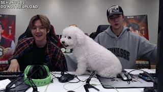 ENG SUBFULL 180919 SEHUN amp BAEKHYUN PUBG BROADCAST 3 SEHUN CAM [upl. by Nomzed]