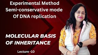 DNA Replication In Simplest Way  DNA Replication Ko samjhna 🙂 Aasaan Hai  lets go  Biology Ocean [upl. by Dlarrej]