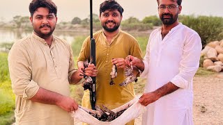 Teliyar ka shikar  Rosy starling hunting in pakistan  Wild bird hunting [upl. by Braca834]