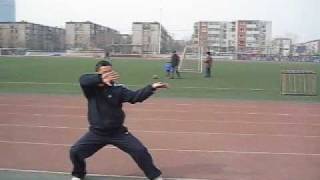 Li style Taiji Quan  Master Zhou jingxuan [upl. by Jaco]