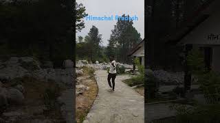 Trip to Himachal Pradesh travel mountains himachal hillstrip tredingshorts [upl. by Ilise]