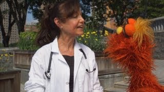 Sesame Street Word on the Street  Veterinarian [upl. by Naloj]