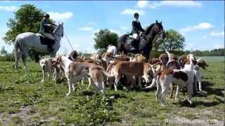 MecklenburgVorpommern Gut Dalwitz  Schleppjagd mit der Mecklenburger Meute by Reisefernsehencom [upl. by Halullat654]