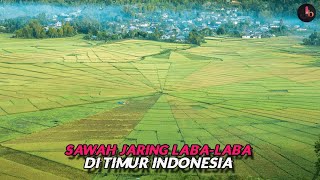 Lingko Sawah Jaring LabaLaba di Flores Nusa Tenggara Timur Indonesia [upl. by Naarah]