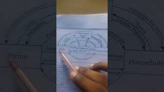 Circular Flow of Income in Three sector Economy macroeconomics upscaspirants currentaffairs [upl. by Neeuq]