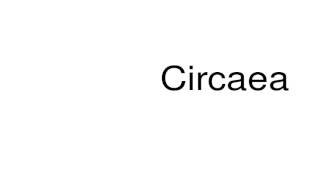 How to pronounce Circaea [upl. by Austin]