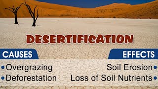 What Is Desert And Desertification Causes And Effects   Lecture No  2 [upl. by Aicilat447]