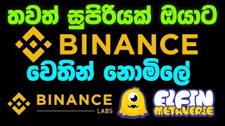 elfin airdrop sinhala elfin nft airdrop elfin games airdrop eurolanka elfinairdrop newairdrop [upl. by Naud]