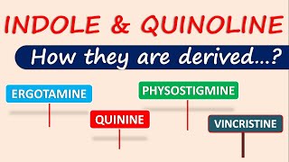 Indole and Quinoline alkaloids  How they are derived [upl. by Gunner]