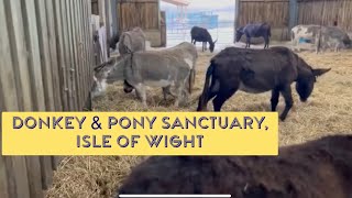 Donkey Sanctuary at Isle of Wight [upl. by Flam]