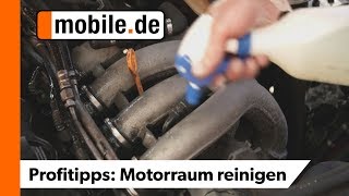 Darf ich mit einem Kärcher den Motorraum reinigen  mobilede Profitipps [upl. by Sammons447]