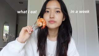 what i eat in a week in korea 🍙 fancy buffets street tteokbboki cute cafes amp more [upl. by Yatnahc554]