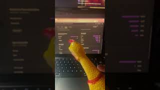 Rubber Chicken Subscribes funny birds rubberchicken subscribe sub [upl. by Publus]