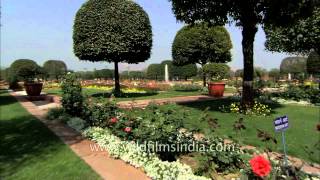 Mughal garden One of the most beautiful gardens in India [upl. by Ahsinotna600]