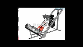 Sled 45 degree Leg Press [upl. by Aztiley]