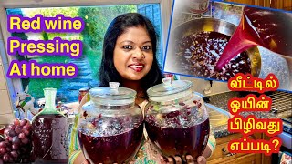 🍷 Home made red wine pressing 🍇 வீட்டில் திராட்சை ஒயின் பிழிவது எப்படி [upl. by Ardys]