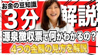 源泉徴収票で何がわかるの？4つの金額の見方を解説【３分かんたん確定申告・税金チャンネル】 [upl. by Litton]