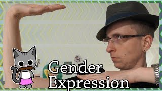 ²⁹·¹²·²⁰¹⁷ Gender Expression [upl. by Edgerton75]