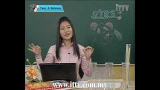 iTTV UPSR Year 6 Science 4 Interaction Among Living Things Groups Animals and Solitary Animals [upl. by Rehtaef]