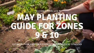 What to plant in May for Zones 9 amp 10 [upl. by Hazel]