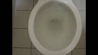 581 BorgWarner Academy toilet  video 1 [upl. by Haidadej]