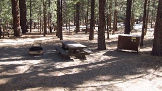 New Shady Rest Campground Inyo National Forest in Mammoth Lakes California [upl. by Brady]