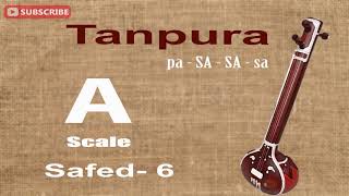 Tanpura A Scale  Safed 6  Tanpura  Big Banyan Tree [upl. by Isa]