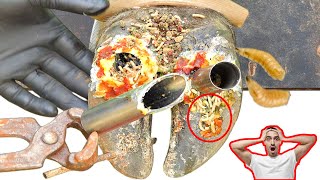 Shocking Cow’s Hoof with Screws and Iron Bars—Filled with Pus and Maggots satisfying 131103 [upl. by Effie]