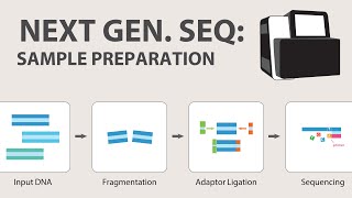 2 Next Generation Sequencing NGS  Sample Preparation [upl. by Dietrich]