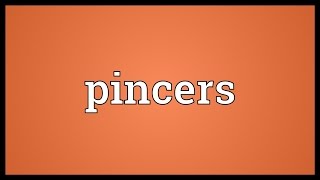 Pincers Meaning [upl. by Ardyaf]