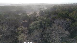 Texas Cedar trees disgorging their pollen [upl. by Oab]