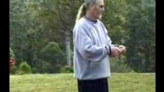 Tai Chi YAng Luchan Form Corrections V 4 Montaigue [upl. by Ettesoj371]