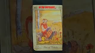 Daily Tarot Reading  November 3 2024  IN THE SPOTLIGHT daily tarot youtubeshorts [upl. by Mclaughlin]