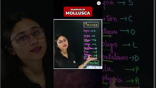 🔴PHYLUM MOLLUSCA IN 1 Minute TRICK TO LEARN neet2024 ytshortsfeature shortsfeed sankalpbharat [upl. by Jude207]