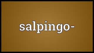 Salpingo Meaning [upl. by Garaway]