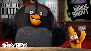 The Angry Birds Movie  The Flock Visits AMC Theaters [upl. by Chessy627]