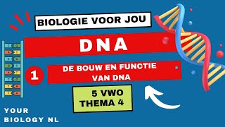 5 vwo  DNA  1  De bouw en functie van DNA [upl. by Kern]