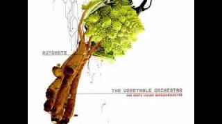 The Vienna Vegetable Orchestra  Radioactivitat 2003 [upl. by Turoff352]