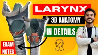 Larynx anatomy  cartilage of larynx anatomy  ligaments of larynx anatomy  muscle of larynx [upl. by Reni]