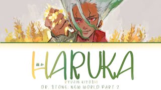 Dr Stone New World Opening  Ryujin Kiyoshi  Haruka 遥か LyricsKanRomEng [upl. by Paolina821]