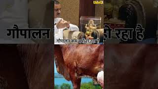 गौपालन कम क्यों हो रहा है  Ratan singh rathore  Jalore [upl. by Larsen]