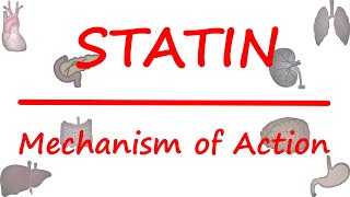 Statins  HMG CoA inhibitors Mechanism of action of statins  in hindi [upl. by Aremihc129]