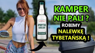 KAMPER NIE PALI robimy nalewkę tybetańską [upl. by Cooley]